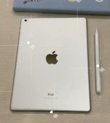 iPad成色95新，指纹正常，电池还有98%的寿命！！